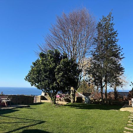 Golindo Goikoa Apartment Getaria Bagian luar foto
