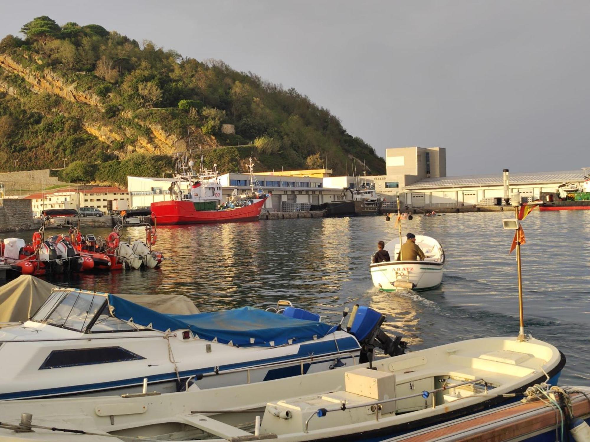Golindo Goikoa Apartment Getaria Bagian luar foto